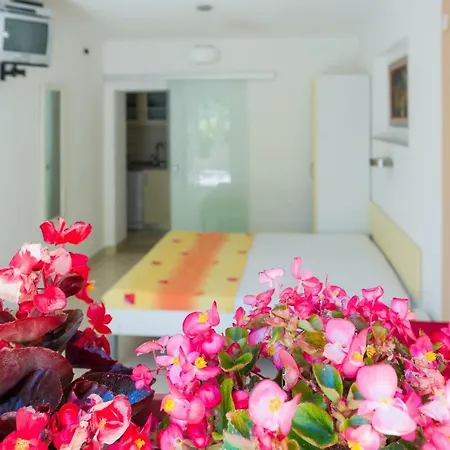 Appartement Nada